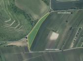 Prodej - pozemek, zemědělská půda, 9 912 m²