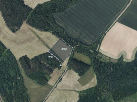 fotografie | Prodej - pozemek, trvalý travní porost, 19 541 m²