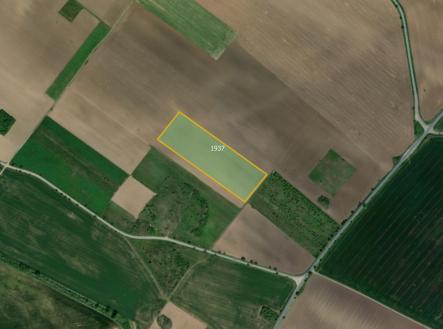 fotografie | Prodej - pozemek, zemědělská půda, 25 300 m²