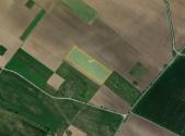 Prodej - pozemek, zemědělská půda, 25 300 m²