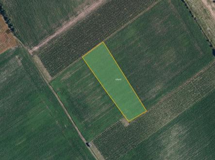 fotografie | Prodej - pozemek, zemědělská půda, 6 317 m²