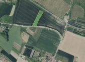 Prodej - pozemek, zemědělská půda, 4 184 m²