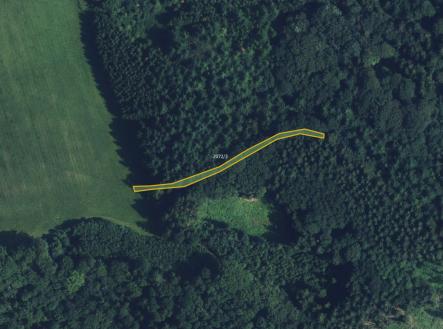 fotografie | Prodej - pozemek, trvalý travní porost, 10 631 m²