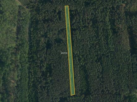 fotografie | Prodej - pozemek, trvalý travní porost, 19 893 m²