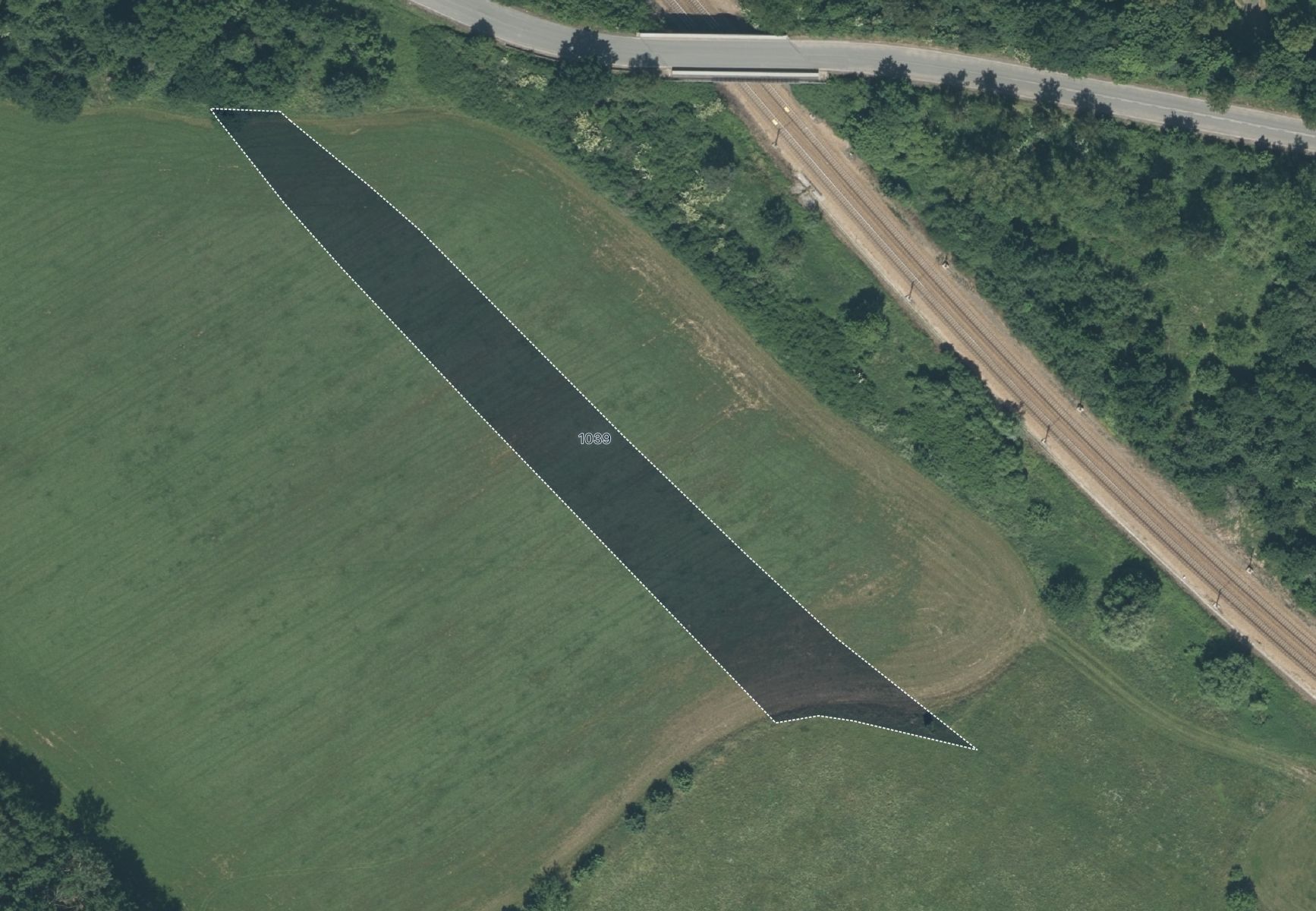 fotografie