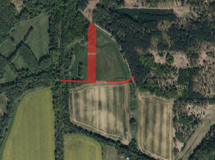 fotografie | Prodej - pozemek, trvalý travní porost, 10 075 m²