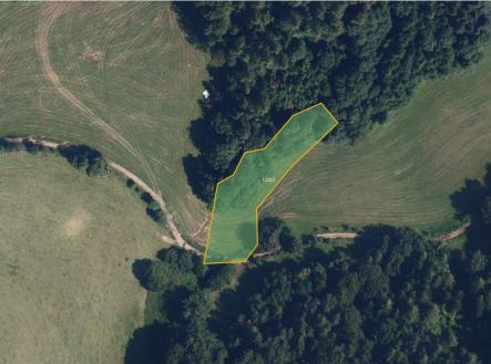 fotografie | Prodej - pozemek, trvalý travní porost, 9 806 m²