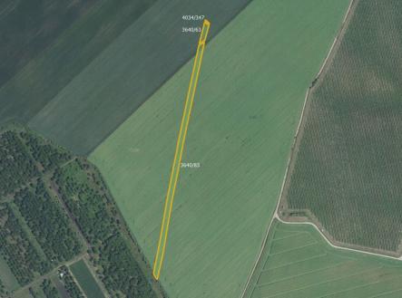 fotografie | Prodej - pozemek, zemědělská půda, 3 169 m²