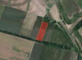 Prodej - pozemek, zemědělská půda, 11 008 m²