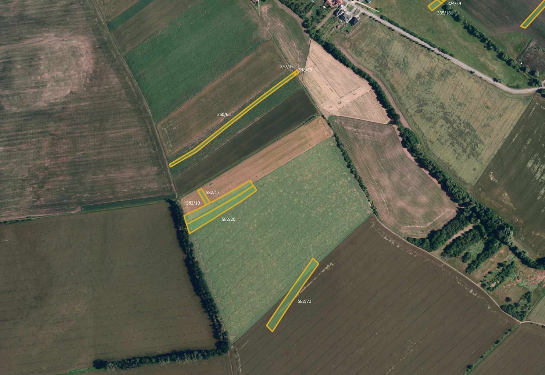 fotografie