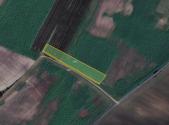 Prodej - pozemek, zemědělská půda, 10 080 m²