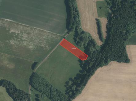 fotografie | Prodej - pozemek, trvalý travní porost, 28 890 m²