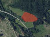 Prodej - pozemek, trvalý travní porost, 34 831 m²