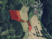 Prodej - pozemek, trvalý travní porost, 13 383 m²
