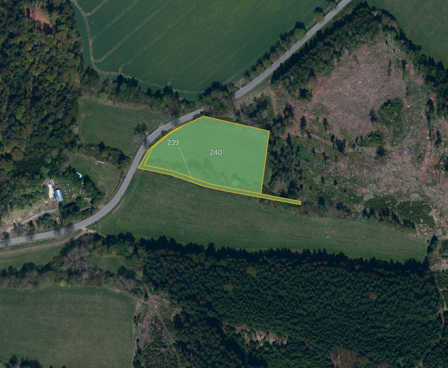 fotografie