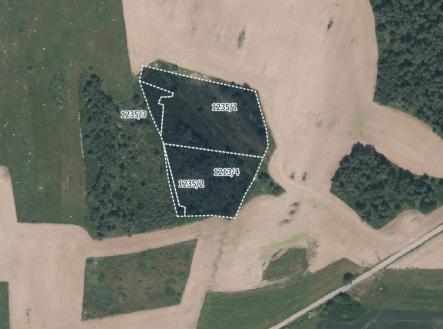 fotografie | Prodej - pozemek, les, 16 139 m²