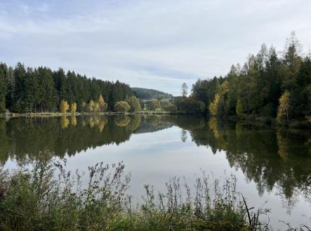 fotografie | Prodej - pozemek, trvalý travní porost, 3 653 m²