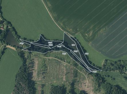 fotografie | Prodej - pozemek, trvalý travní porost, 24 034 m²