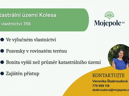 fotografie | Prodej - pozemek, trvalý travní porost, 12 940 m²