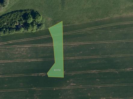 fotografie | Prodej - pozemek, trvalý travní porost, 6 221 m²