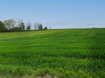 Prodej - pozemek pro komerční výstavbu, 10 581 m²