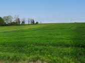 Prodej - pozemek pro komerční výstavbu, 10 581 m²