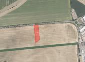 Prodej - pozemek, zemědělská půda, 9 193 m²