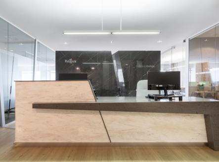 Generic Reception_04 | Pronájem - kanceláře, 20 m²