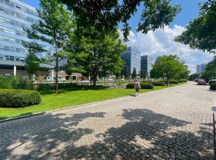 3 | Pronájem - kanceláře, 120 m²