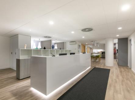 9 | Pronájem - kanceláře, 110 m²