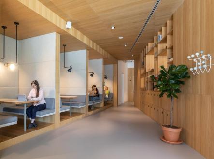 2 | Pronájem - kanceláře, 50 m²