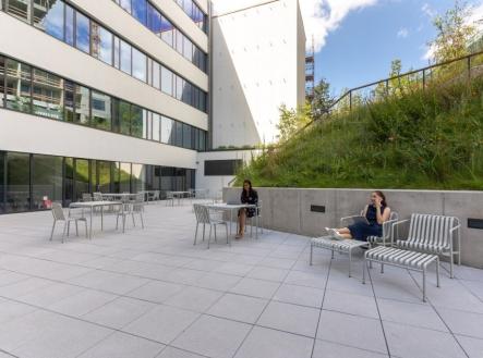 4 | Pronájem - kanceláře, 50 m²