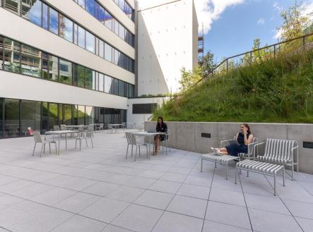 4 | Pronájem - kanceláře, 60 m²