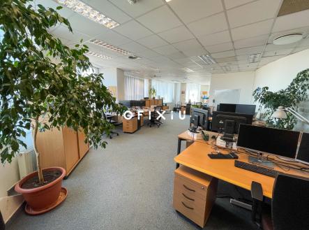 Pronájem - kanceláře, 559 m²