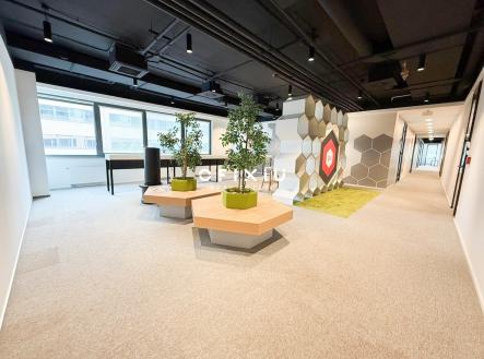 pronajem-kancelari-na-londynskem-namesti-o-plose-742-m2-v-brne-2025-03-12-09-40-41-8bfd5d | Pronájem - kanceláře, 742 m²