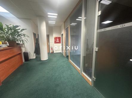 Pronájem - kanceláře, 227 m² obrázek