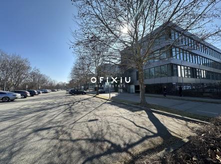 IMG_0222 | Pronájem - kanceláře, 300 m²