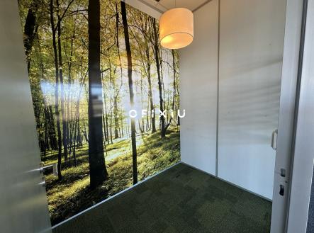 IMG_0181 | Pronájem - kanceláře, 300 m²