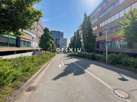 IMG_5630 | Pronájem - kanceláře, 370 m²