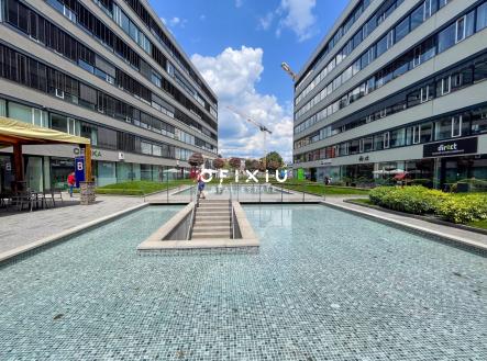 1 | Pronájem - kanceláře, 290 m²