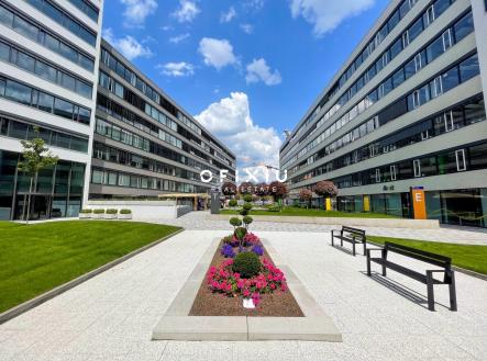 2 | Pronájem - kanceláře, 290 m²