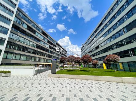 3 | Pronájem - kanceláře, 290 m²