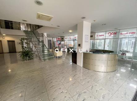IMG_6093 | Pronájem - kanceláře, 150 m²