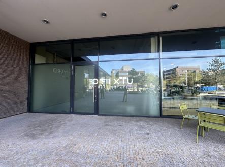 Pronájem - obchodní prostor, 177 m²