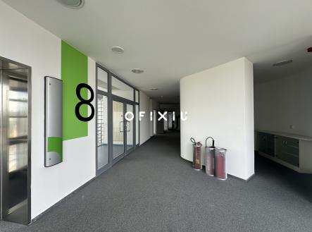 IMG_1107 | Pronájem - kanceláře, 239 m²