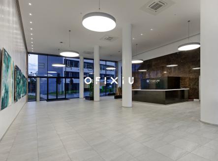 Snímek obrazovky 2025-05-27 v 14.25.03 | Pronájem - kanceláře, 300 m²
