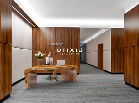 3 | Pronájem - kanceláře, 300 m²