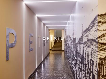 vstup 1NP Petrov | Pronájem - kanceláře, 505 m²