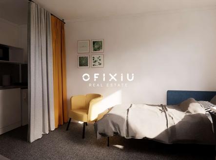 Snímek obrazovky 2024-11-19 v 14.55.01 | Pronájem bytu, 1+kk, 16 m²