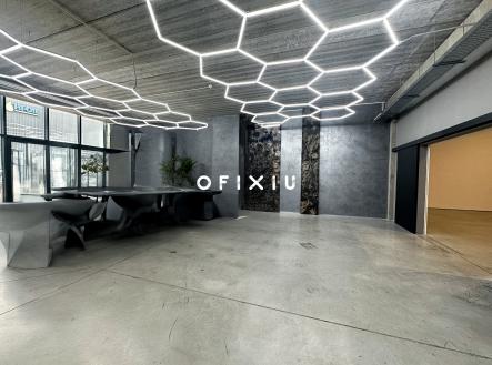 IMG_1242 | Pronájem - obchodní prostor, 496 m²